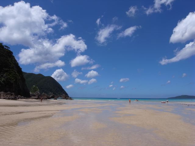 c0195791_2029774.jpg