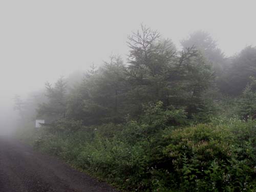 深い霧の朝_e0120896_7374230.jpg
