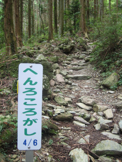 f0036700_1745491.jpg