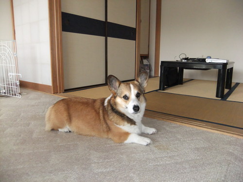 f0101201_14481070.jpg