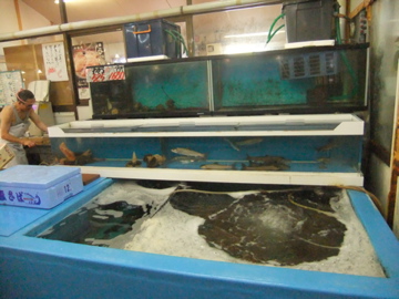 ダブルローライダーと海鮮ホッケ定食!!_c0226202_7382314.jpg