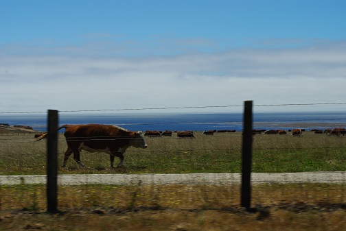 f0038904_55690.jpg