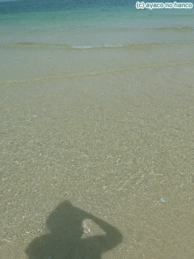 f0079110_22282456.jpg