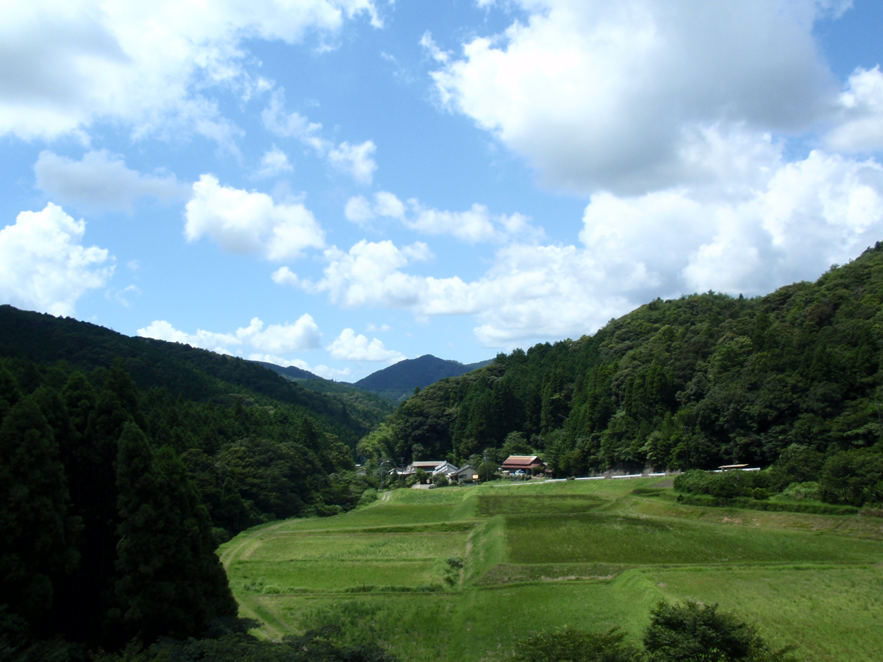 b0176111_073352.jpg