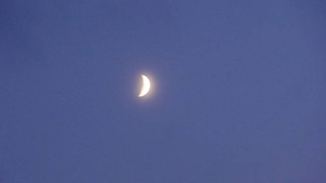 f0233414_1561637.jpg