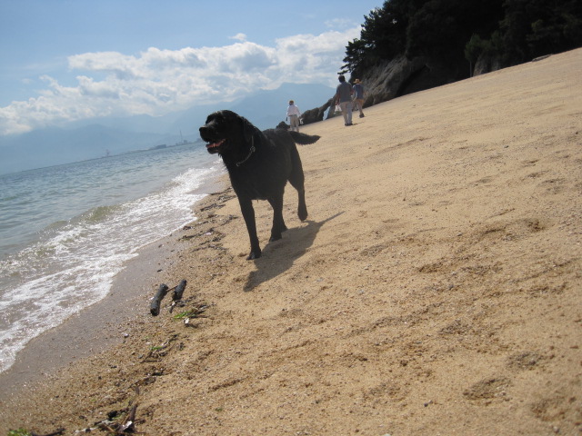 c0209415_2094140.jpg
