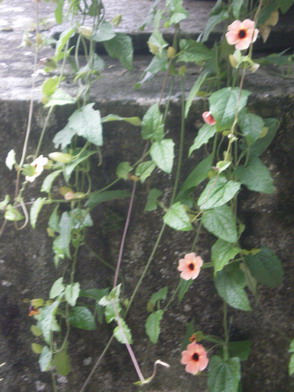 c0124619_23541159.jpg