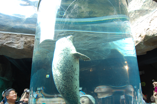 f0192920_22583675.jpg
