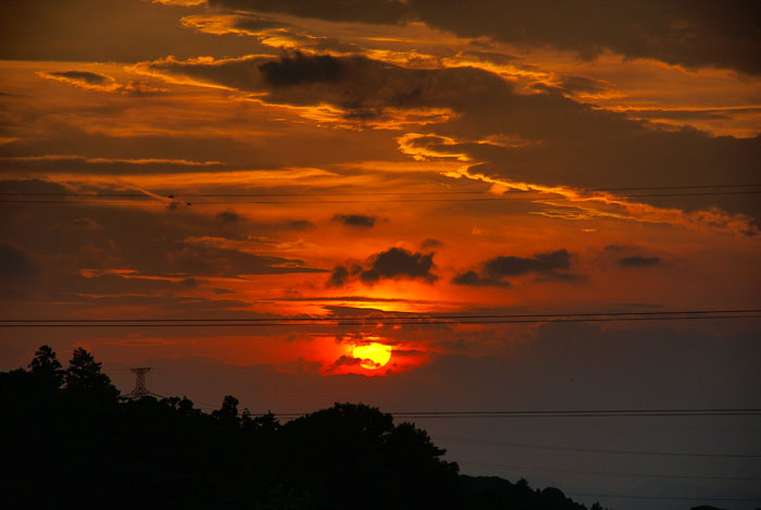 夕焼けの欠片_e0077521_2272236.jpg