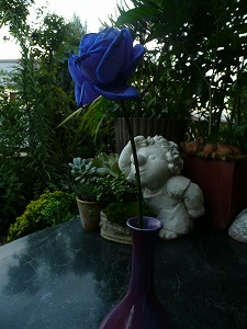 xjapan シューマッハ直筆サインYOSHIKI青い薔薇 xjapan シューマッハ直筆サインYOSHIKI青い薔薇 xjapan