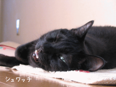 a0166338_21564364.gif
