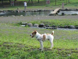 c0077741_02138.jpg