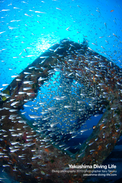 灯篭流し_b0186442_12473173.jpg