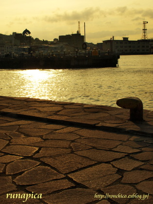 b0150549_91484.jpg