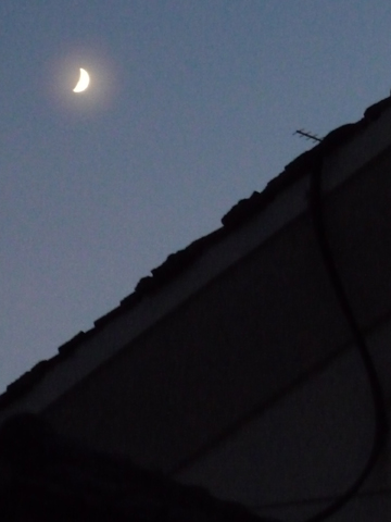 c0221349_8194114.jpg
