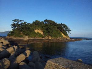 f0229250_18551017.gif