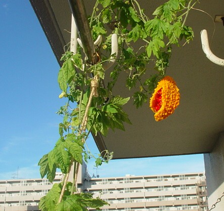 な~~んだ?_e0074955_241072.jpg