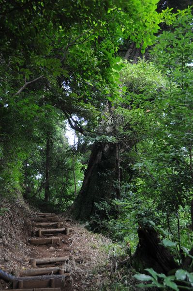 パワースポット伊豆山神社へ_c0115660_2063531.jpg