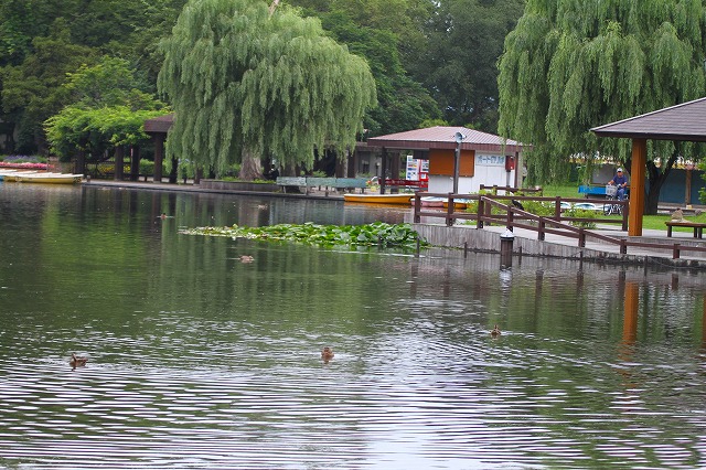 f0000866_9142491.jpg