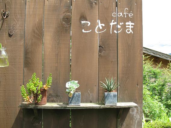 奈良旅行日記。_d0128268_8201212.jpg