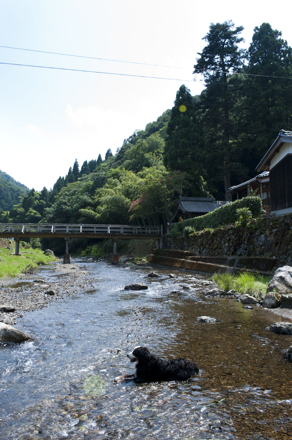 f0145674_2335683.jpg