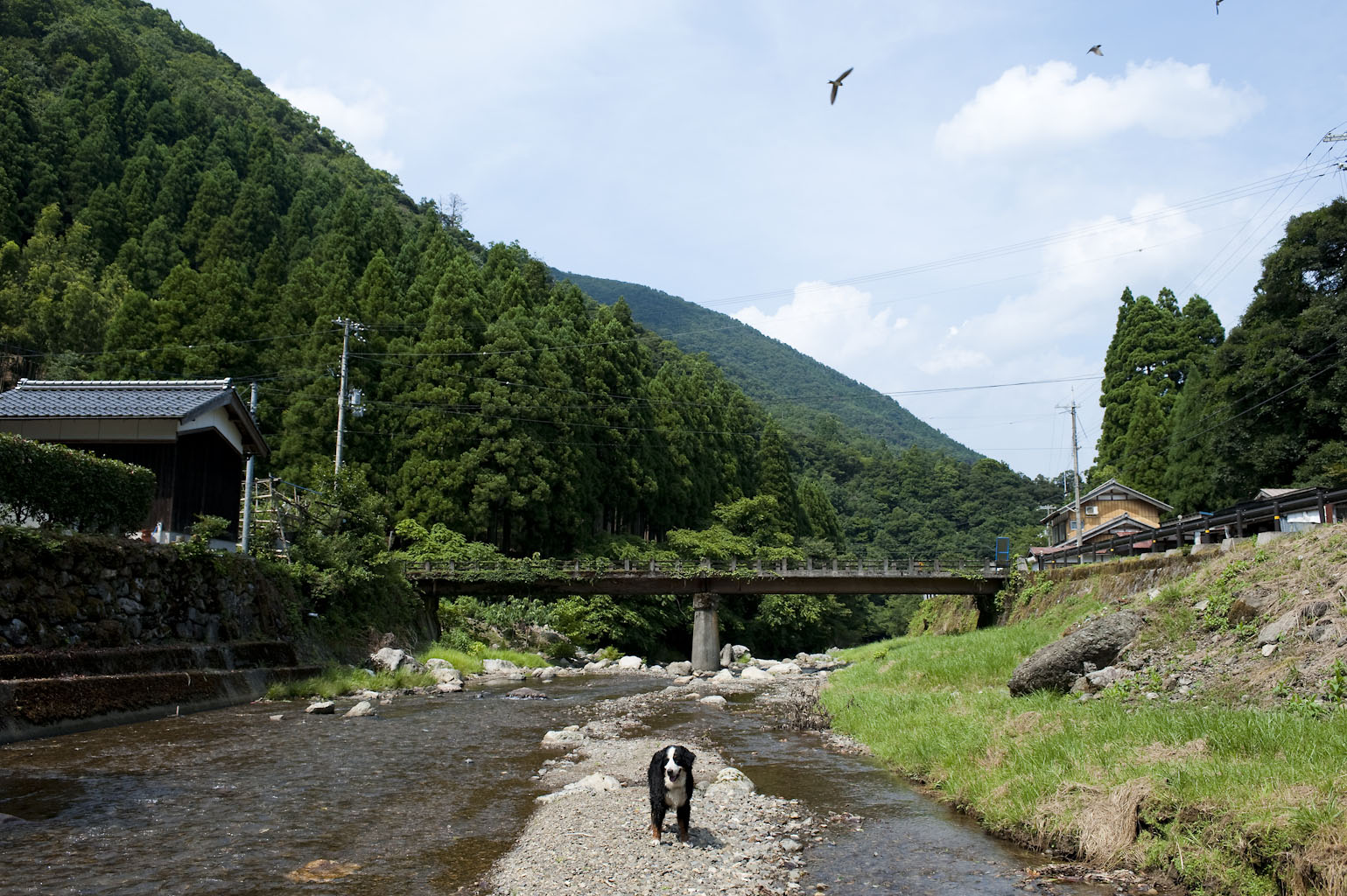f0145674_234149.jpg