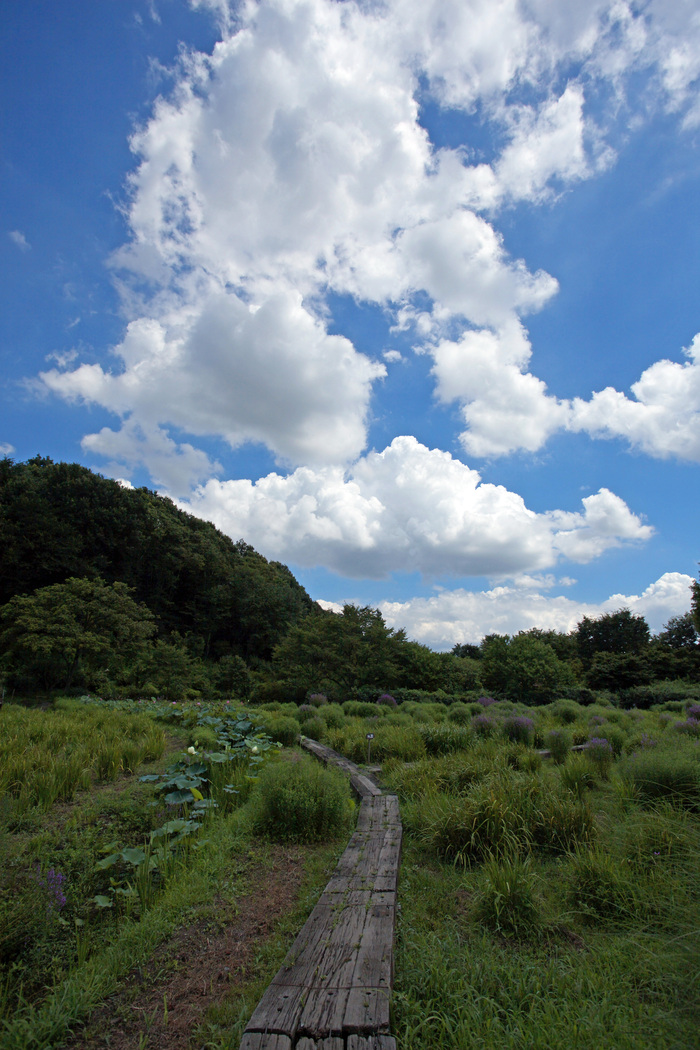 花之江の郷　ラスト_b0044477_0301679.jpg