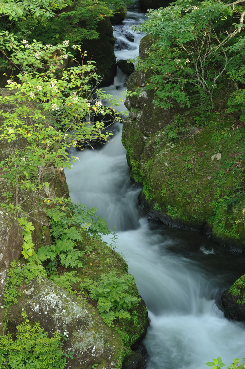 華厳の滝　竜頭の滝_a0144081_1930717.jpg