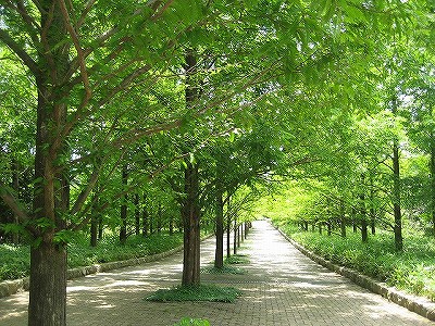 c0229483_11332985.jpg