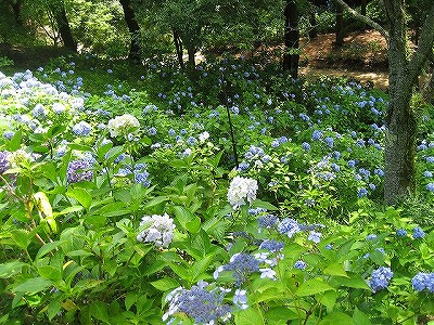 c0229483_11342140.jpg