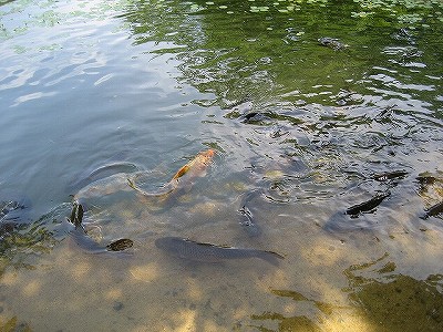 c0229483_11351825.jpg