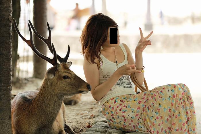 これでよいのか日本の鹿 : Menna's Photo