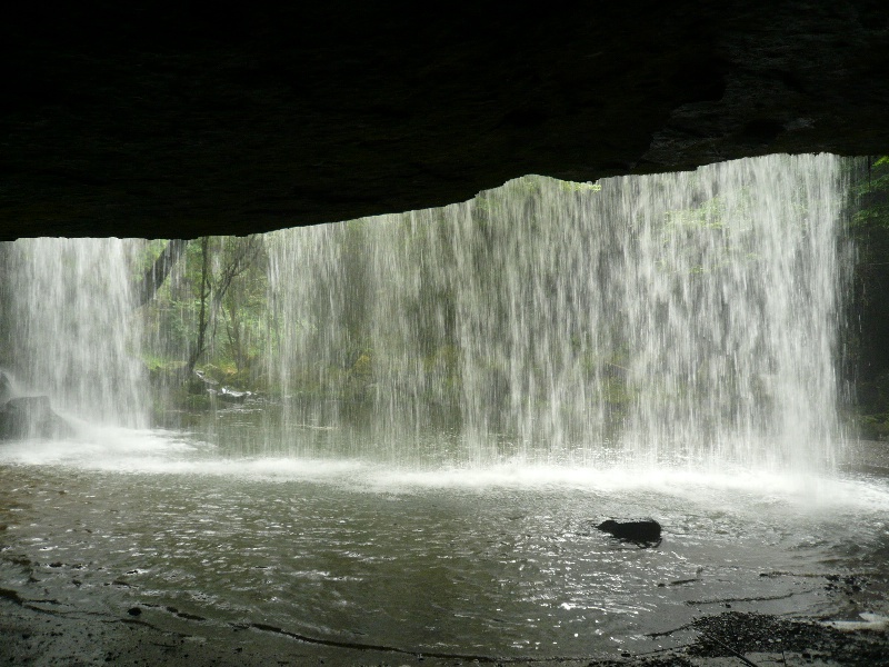 d0134785_22392921.jpg
