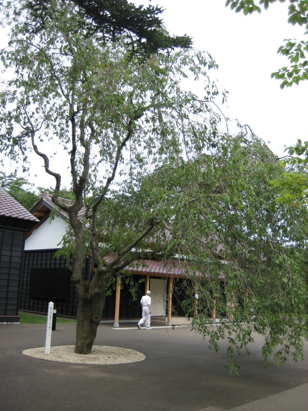 c0013687_2327559.jpg