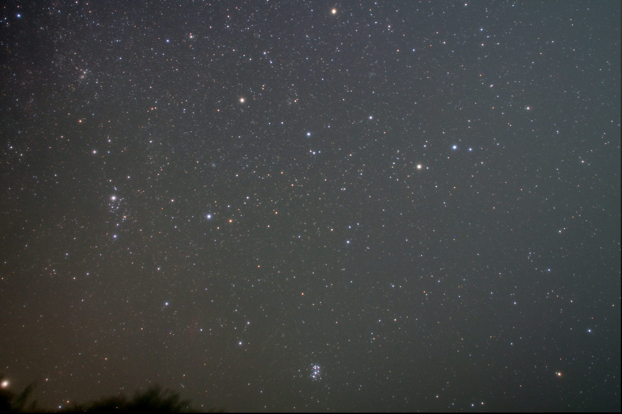 8月14日の星野写真_e0174091_173524.jpg