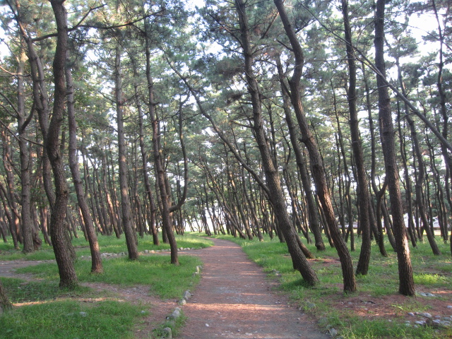 c0133096_1936567.jpg
