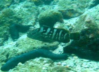 f0079996_14513560.jpg