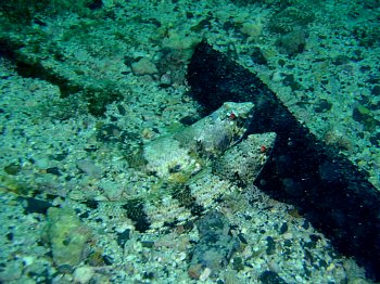 f0079996_15101910.jpg