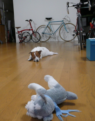 f0146198_12471567.jpg