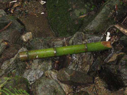 f0036700_14301875.jpg