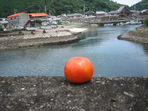 f0036700_15513894.jpg