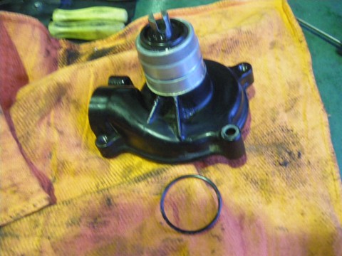 a0145207_1871635.jpg