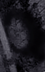 e0103408_172769.gif