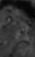 e0103408_17411838.gif