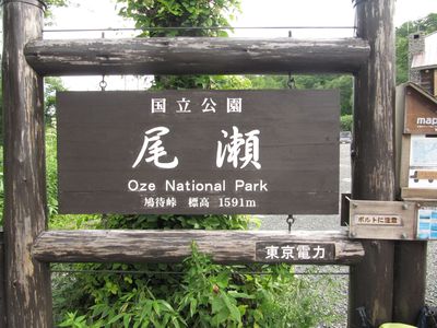 d0159609_10531282.jpg