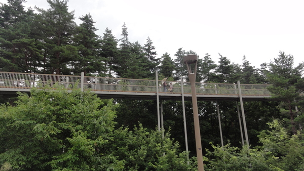 f0233414_22535.jpg