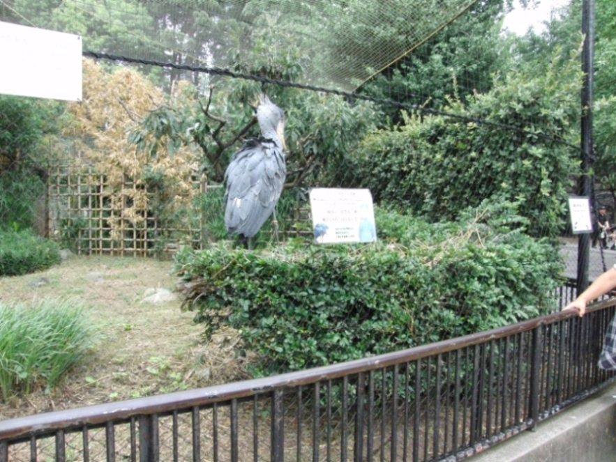 e0163618_2345375.jpg
