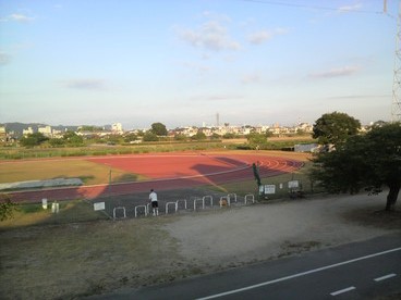 d0167422_8372975.jpg