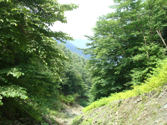 a0048040_22271686.jpg