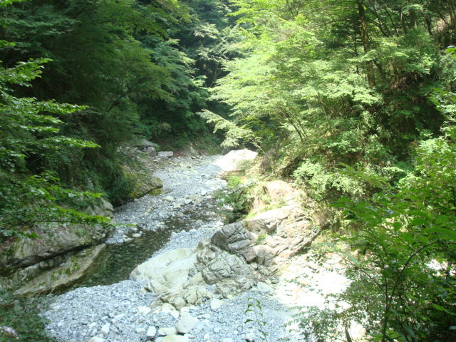 a0048040_22315127.jpg